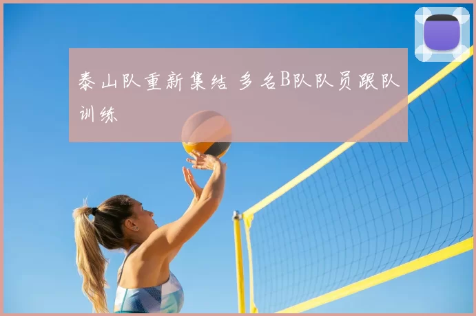 泰山队重新集结 多名B队队员跟队训练