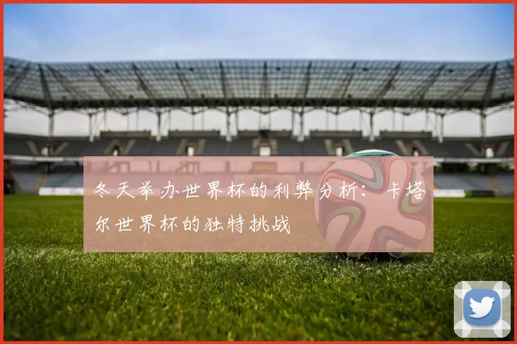 冬天举办世界杯的利弊分析:卡塔尔世界杯的独特挑战