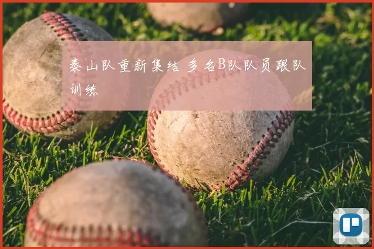 泰山队重新集结 多名B队队员跟队训练