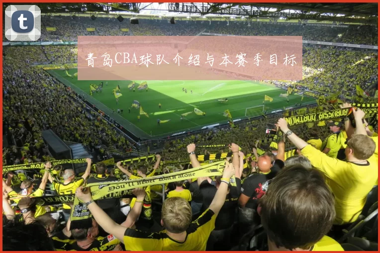 青岛CBA球队介绍与本赛季目标