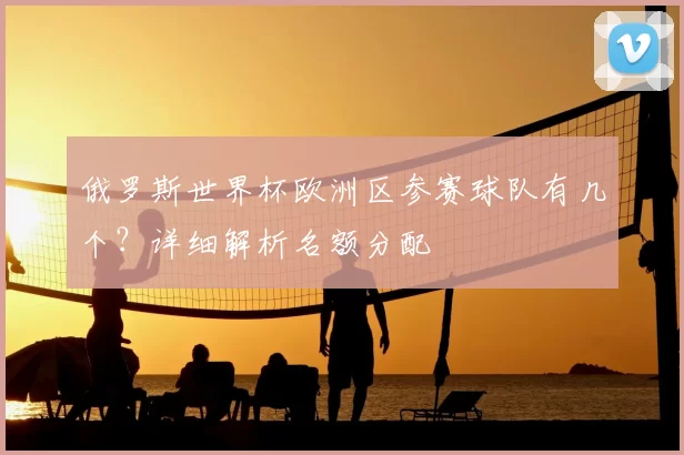 俄罗斯世界杯欧洲区参赛球队有几个？详细解析名额分配