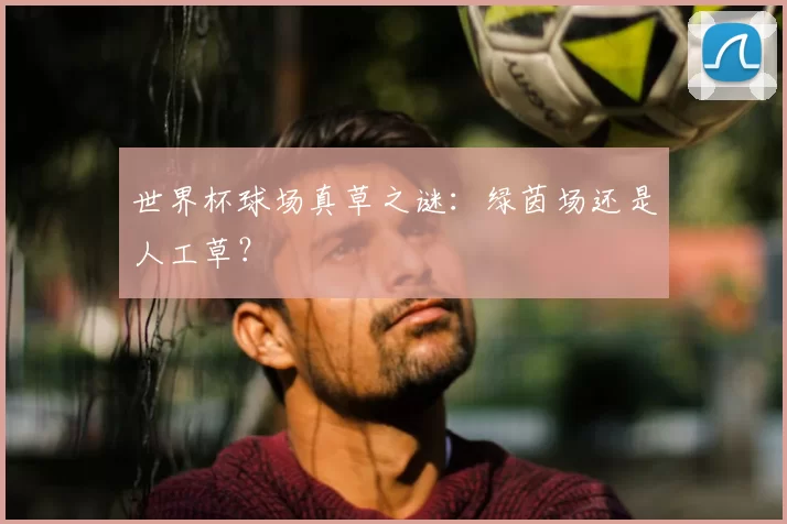 世界杯球场真草之谜：绿茵场还是人工草？