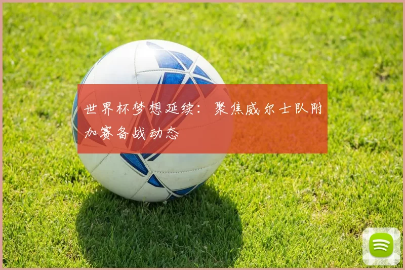 世界杯梦想延续:聚焦威尔士队附加赛备战动态