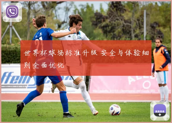 世界杯球场标准升级 安全与体验细则全面优化