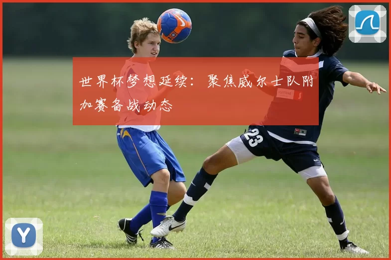 世界杯梦想延续:聚焦威尔士队附加赛备战动态