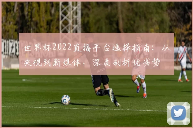 世界杯2022直播平台选择指南:从央视到新媒体,深度剖析优劣势