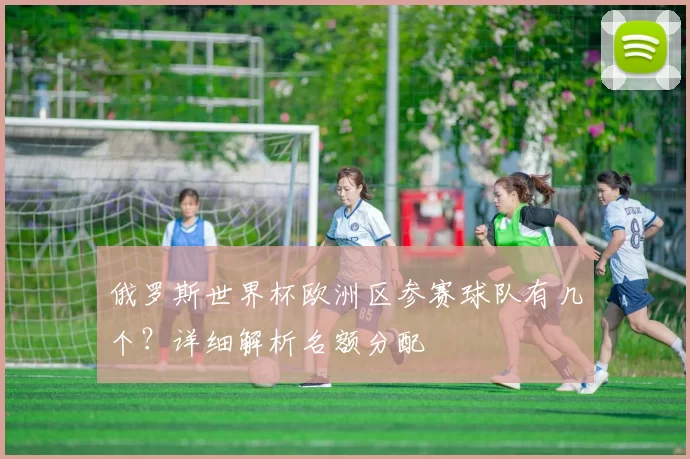 俄罗斯世界杯欧洲区参赛球队有几个?详细解析名额分配