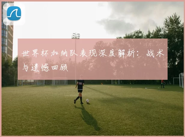 世界杯加纳队表现深度解析:战术与遗憾回顾