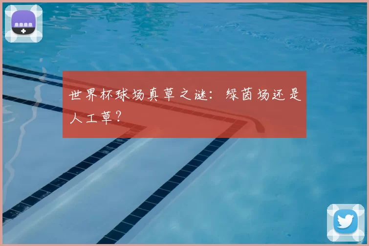 世界杯球场真草之谜：绿茵场还是人工草？