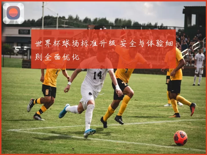 世界杯球场标准升级 安全与体验细则全面优化