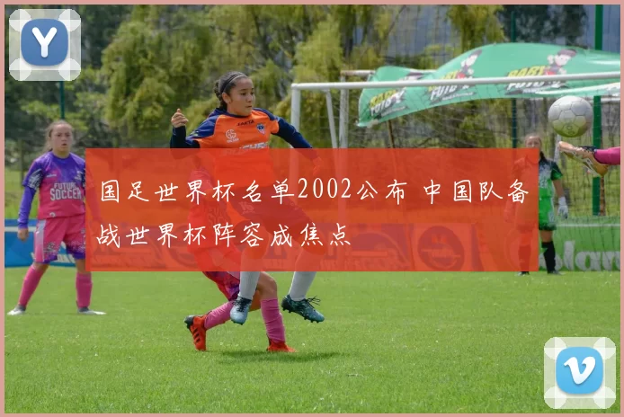 国足世界杯名单2002公布 中国队备战世界杯阵容成焦点