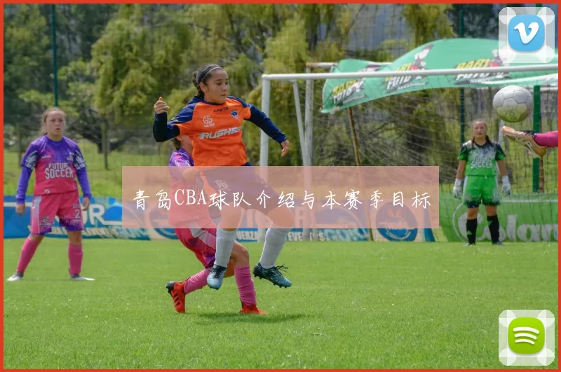 青岛CBA球队介绍与本赛季目标
